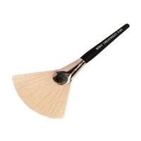 Fan Brush for Body Treatment Photo