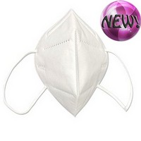 KN95 Masks 5/pk Photo