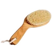 Natural  Bristle Contour Body Brush Photo