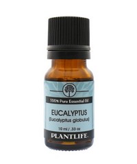 Plantlife Essential Oil- Eucalyptus 10ml Photo