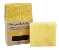 Plantlife Home for the Holidays- Joy 4.5oz Photo